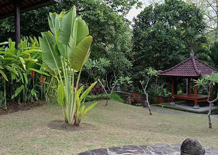 Bali Jepun Lovina